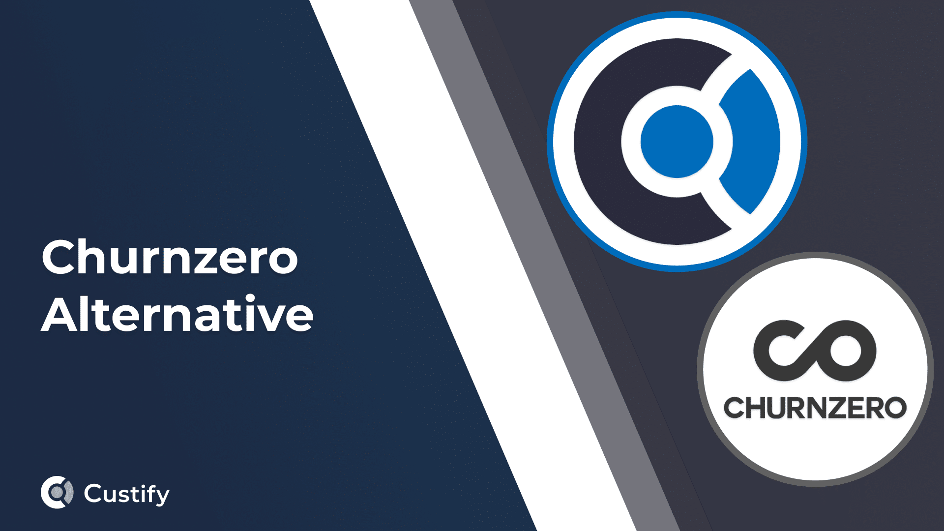 Churnzero Alternative