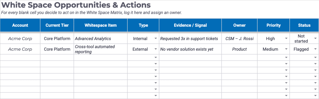 White Space Opportunities and Actions Template